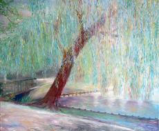 weeping-willow 50х60, оil, canvas.jpg
